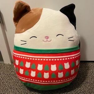 Cam the cat in a Christmas sweater